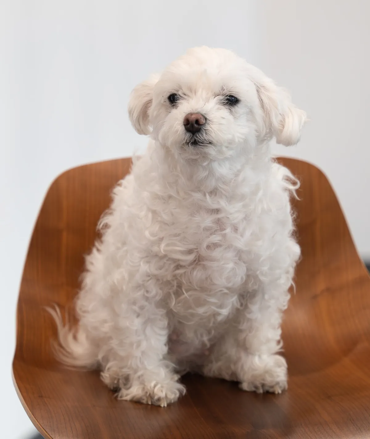 Coco